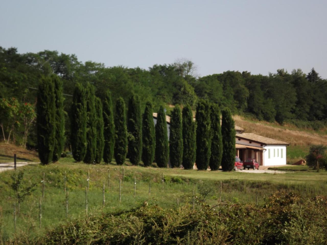 Hotel Casale Arcadia Orvieto Zewnętrze zdjęcie
