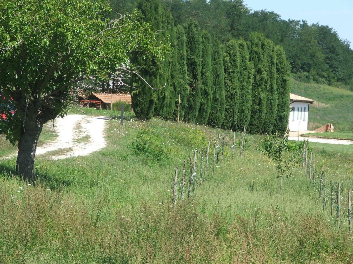 Hotel Casale Arcadia Orvieto Zewnętrze zdjęcie